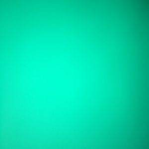 Meet your Posher, Josie